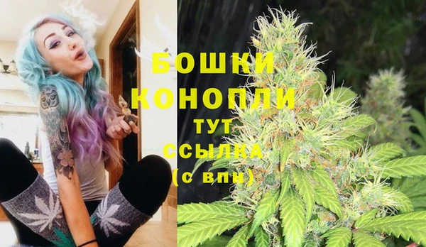 PSILOCYBIN Беломорск